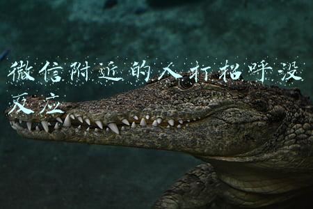 微信附近的人打招呼没反应