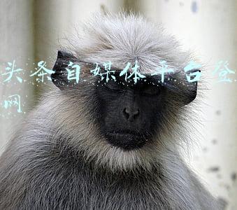 趣头条自媒体平台登录官网