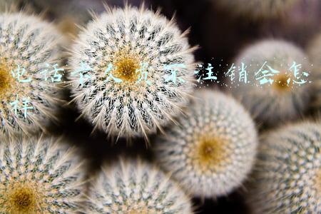 电话卡欠费不注销会怎样