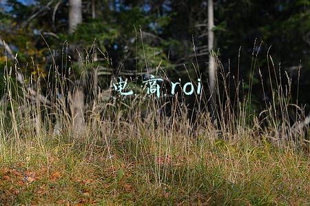 电商roi