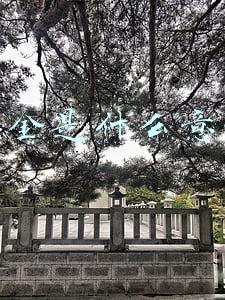 京东礼金是什么意思(京东4亿彩礼聘“天天果园”)