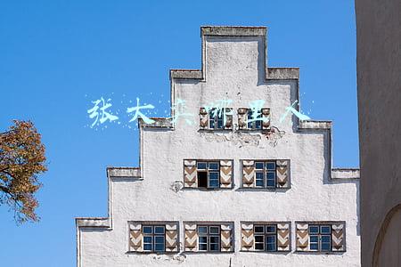 张大奕哪里人