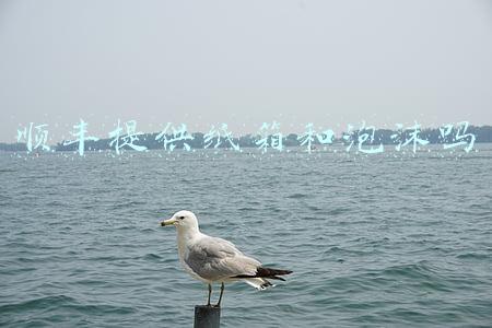 顺丰提供纸箱和泡沫吗