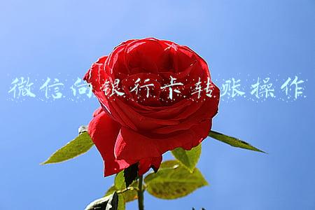 微信向银行卡转账操作