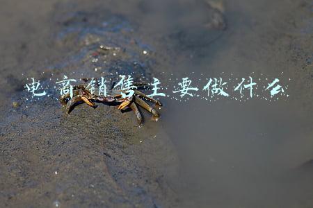 电商销售主要做什么