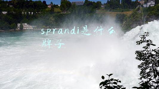 sprandi是什么牌子