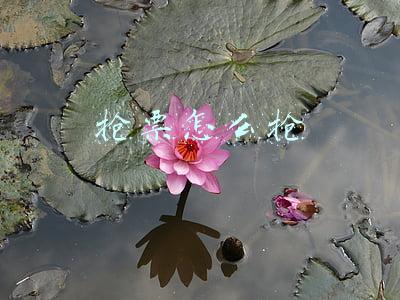 抢票怎么抢