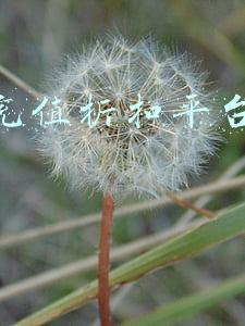 游戏充值折扣平台哪个好