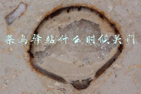 河北科技大学菜鸟驿站什么时候关门(放心取包裹啦 石家庄市菜鸟驿站陆续恢复运营)