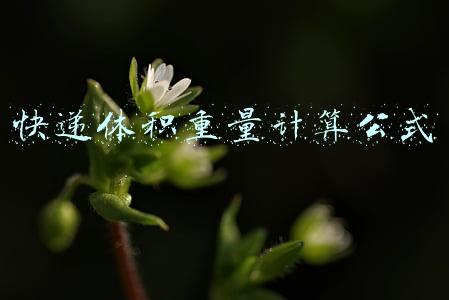 快递体积重量计算公式除以6000是什么(体积重的计算)