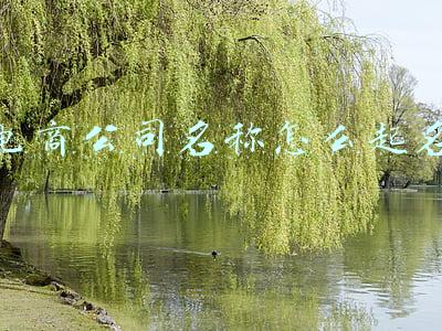 电商公司名称怎么起名大全(电子商务公司取名大全,简单有创意的名字让你的电商平台更易传播)
