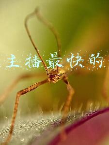 招募主播最快的方法