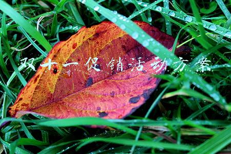 双十一促销活动方案
