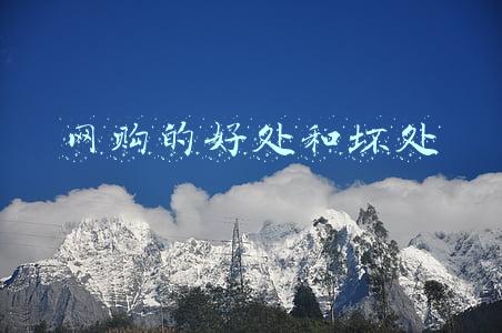 网购的好处和坏处