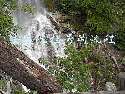 去医院挂号的流程外地的医疗卡可以用嘛(异地就医怎么办？这份攻略快收藏)