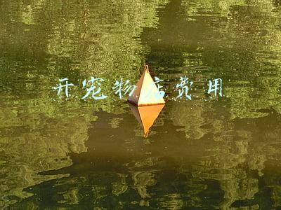 开宠物店费用