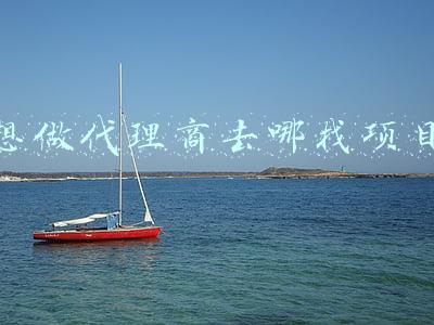 想做代理商去哪找项目