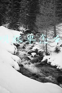 花呗账单怎么查