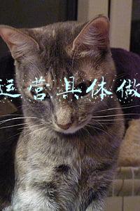 品牌运营具体做什么