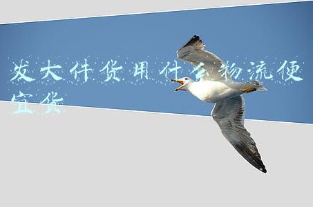 发大件货用什么物流便宜货