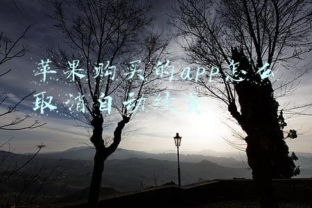 苹果购买的app怎么取消自动续费
