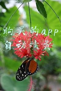 苹果购买的app怎么取消自动续费