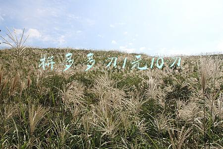 拼多多刀1元10刀微信群(如何在一天内完成拼多多的砍刀？)