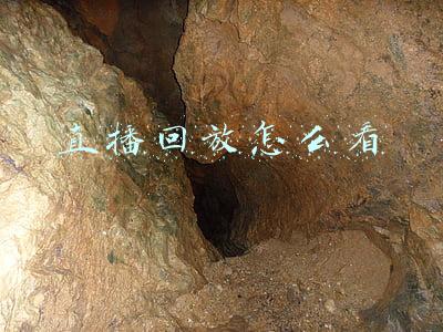 虎牙直播回放怎么看(虎牙直播回放怎么没了 虎牙直播视频回放在哪怎么看教程)