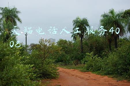 天猫电话人工服务4008