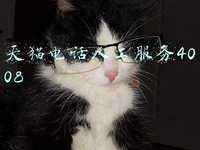 天猫电话人工服务4008