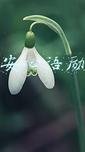 微商早安心语励志图片