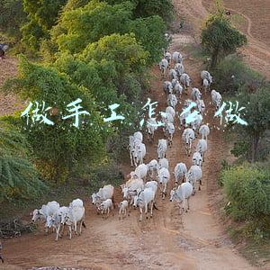 做手工怎么做