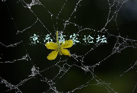 京东商家论坛
