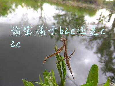 淘宝属于b2c还是c2c