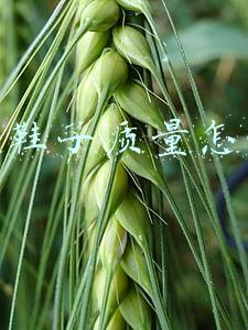 安踏鞋子质量怎么样