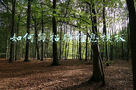 如何写招聘信息模板