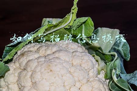 如何写招聘信息模板