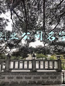 带创字的公司名字大全(PwC辞任至少6家在港上市内地房企核数师，多家公司年报延期)