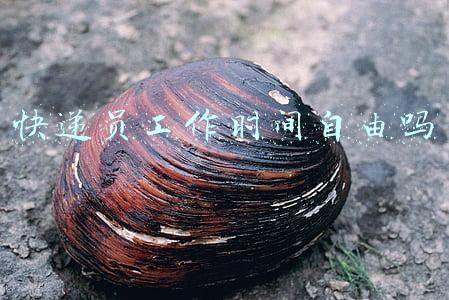快递员工作时间自由吗