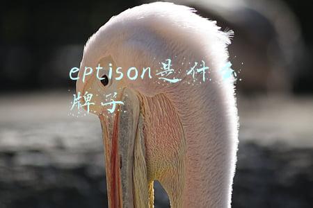 eptison是什么牌子