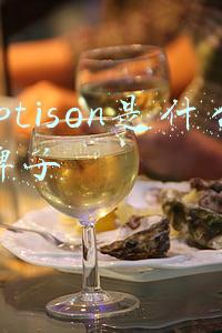 eptison是什么牌子