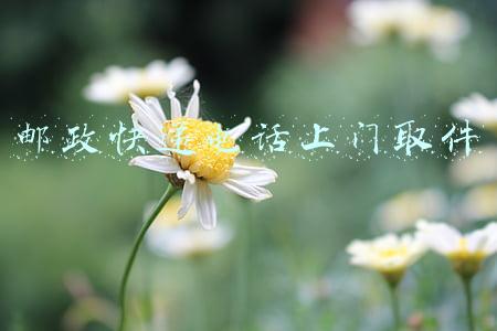 邮政快递电话上门取件
