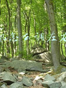 打印机怎么调左右偏移