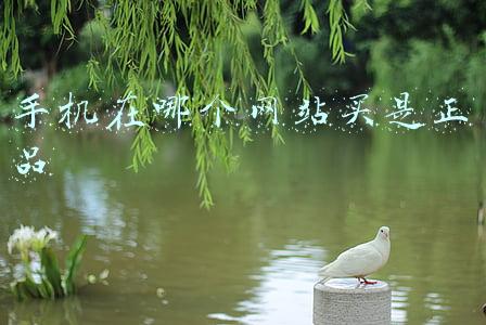 手机在哪个网站买是正品