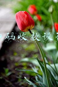 扫码收款设备
