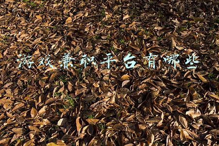 游戏兼职平台有哪些