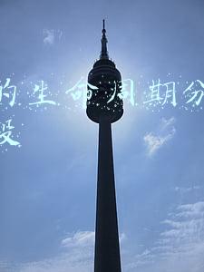 产品的生命周期分为四个阶段