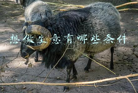 想做生意有哪些条件
