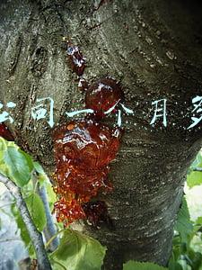 物流公司一个月多少钱