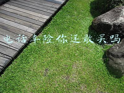 电话车险你还敢买吗